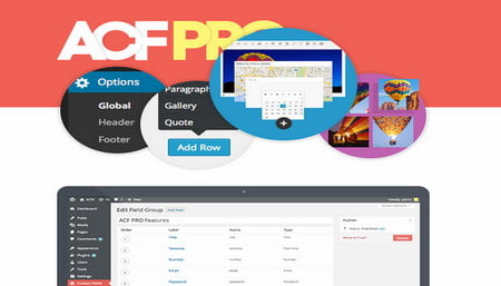 افزونه acf